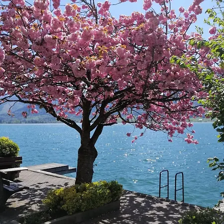 別荘 Hexenhaeuschen