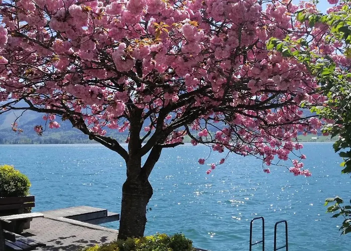 度假居 Hexenhaeuschen