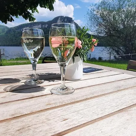 Hexenhaeuschen Bad Goisern